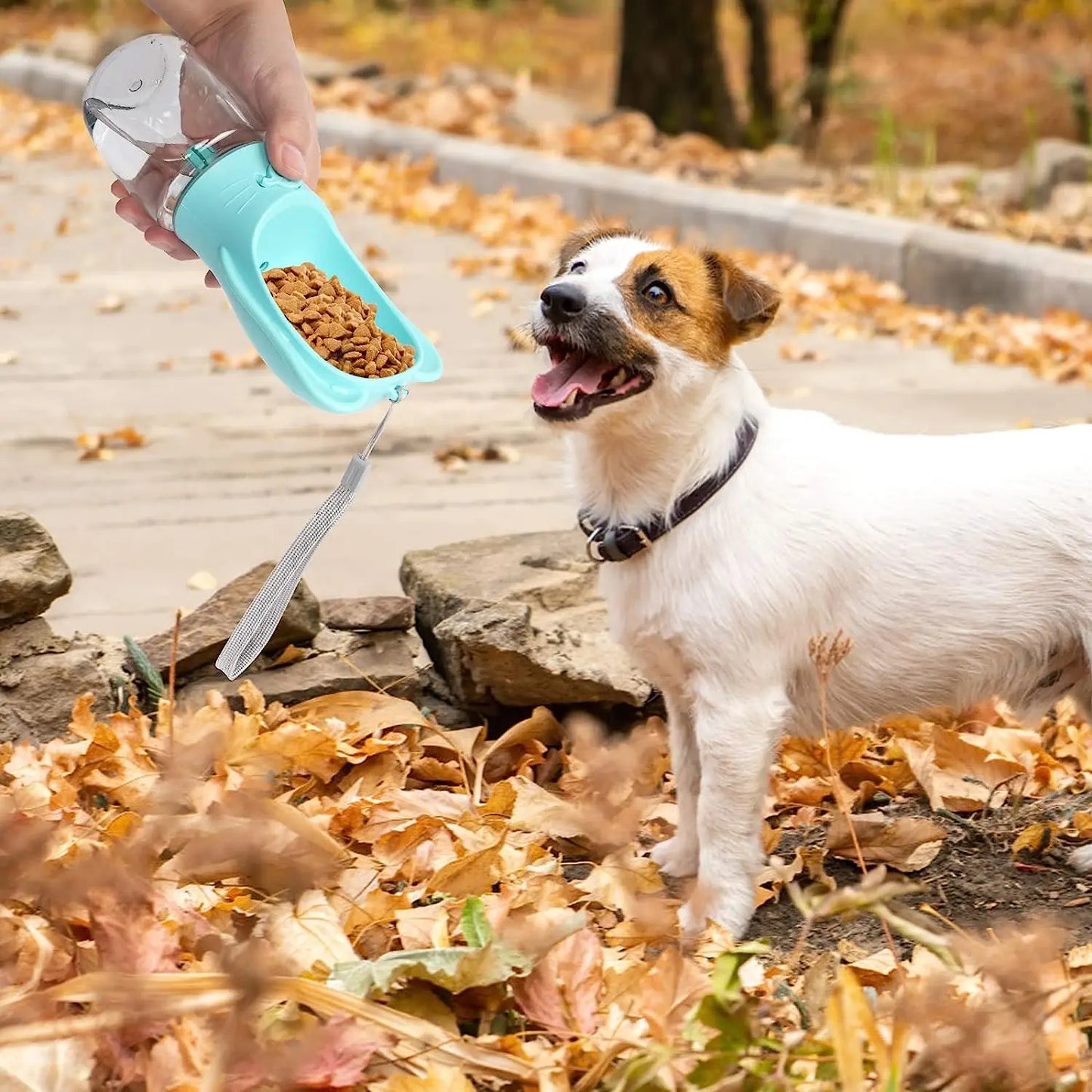 Portable Dog Water Bottle & Food Feeder
